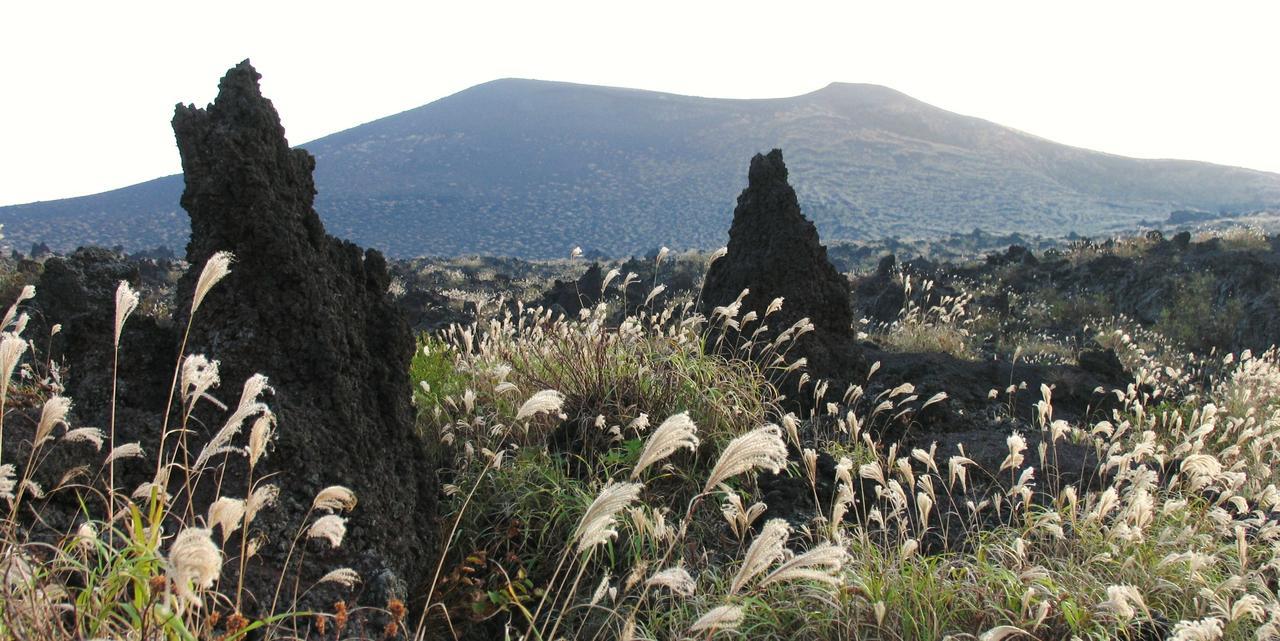ホライゾン Villa Oshima Dış mekan fotoğraf